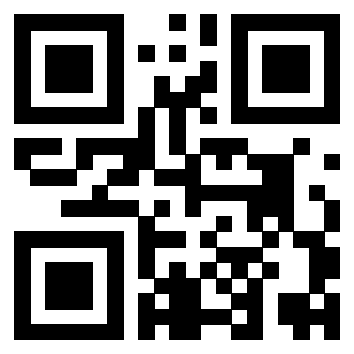 Il Qr Code di 3919306675