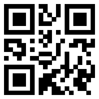 Il Qr Code di 3919306695