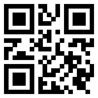 Il Qr Code di 3919321630