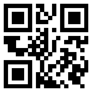 Il Qr Code di 3919321681