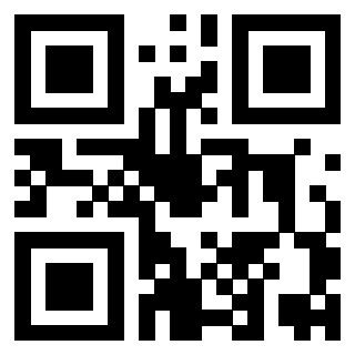 3919321869 - Immagine del QrCode associato