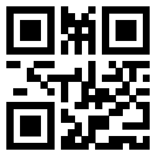 Il Qr Code di 3919321882
