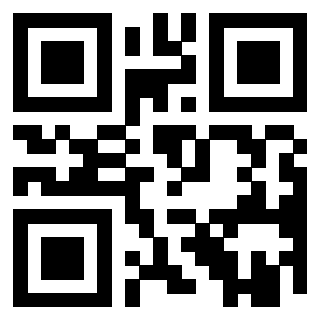 Il Qr Code di 3919321904