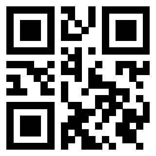 Il Qr Code di 3919321979