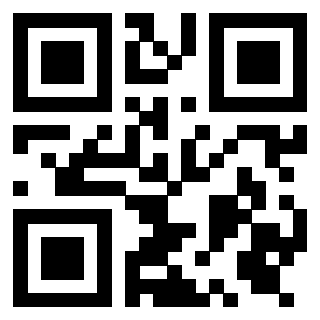 Il Qr Code di 3919322007