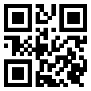 3919322008 Qr Code associato