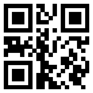 Il Qr Code di 3919322026