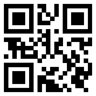 Il Qr Code di 3919322142