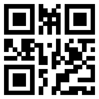 Il Qr Code di 3919322149