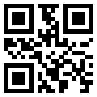Il Qr Code di 3919322189