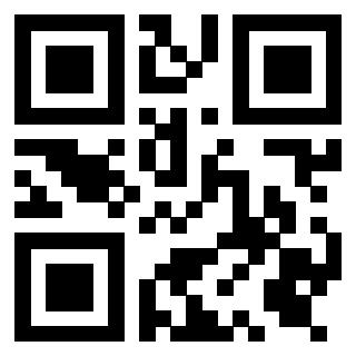 Il Qr Code di 3919322384