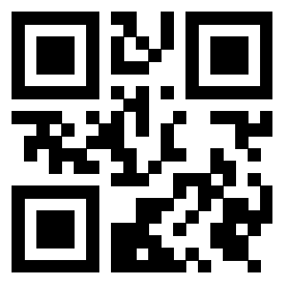 Il Qr Code di 3919322398