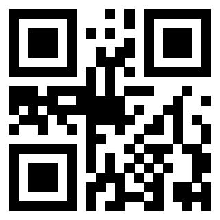 Il Qr Code di 3919322460