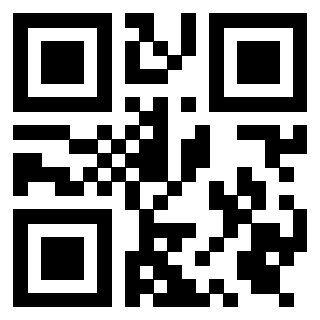 Il Qr Code di 3919322472