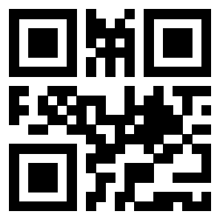 Il Qr Code di 3919322484