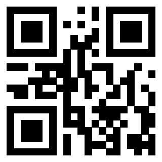 Il Qr Code di 3919322513