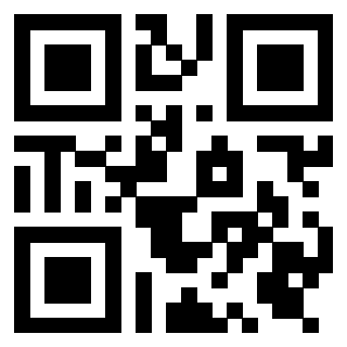 Il Qr Code di 3919322539