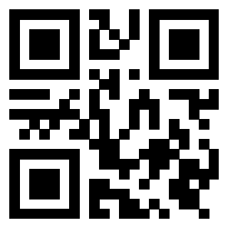 Il Qr Code di 3919322555