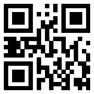 Il Qr Code di 3919322566