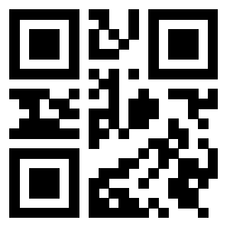 Il Qr Code di 3919322570