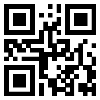 Il Qr Code di 3919322579