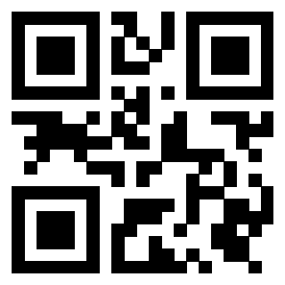 Il Qr Code di 3919376487