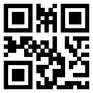 Il Qr Code di 3919376507