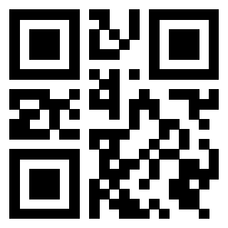 Il Qr Code di 3919376511
