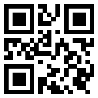 Il Qr Code di 3919376523