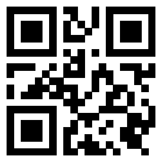 Il Qr Code di 3919376524