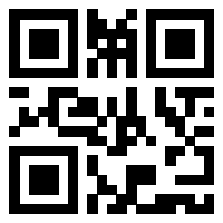 3919376528 QrCode associato