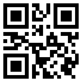 QrCode di 3919376538