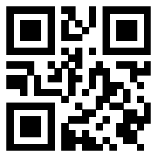 Il Qr Code di 3919376568