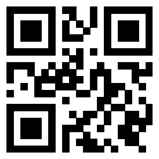 Il Qr Code di 3919376569
