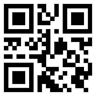 Il Qr Code di 3919376576