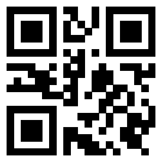 Il Qr Code di 3919376589