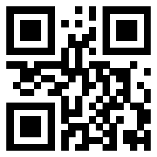 Il Qr Code di 3919376601