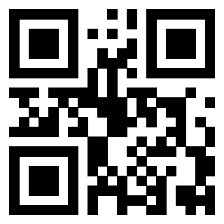 QrCode di 3919376610