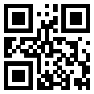 Il Qr Code di 3919376624