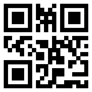 QrCode di 3919376656