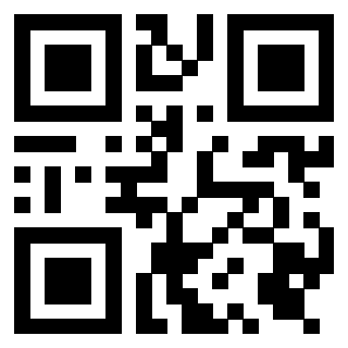 QrCode di 3919376660