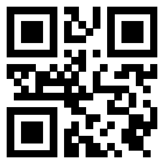 Il Qr Code di 3919376666