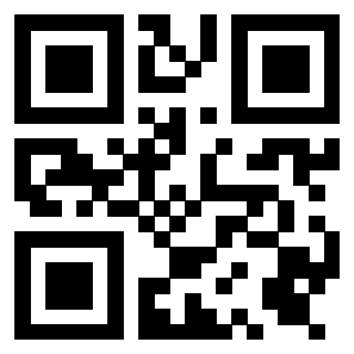 Il Qr Code di 3919376668