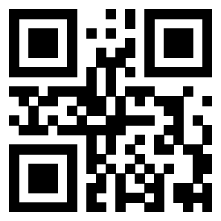 QrCode di 3919376674