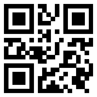 QrCode di 3919376694