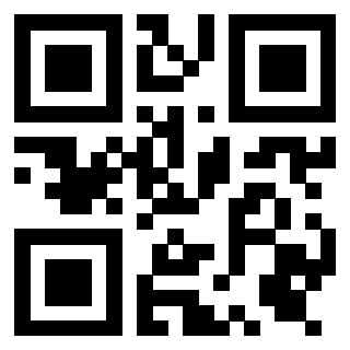 QrCode di 3919376707