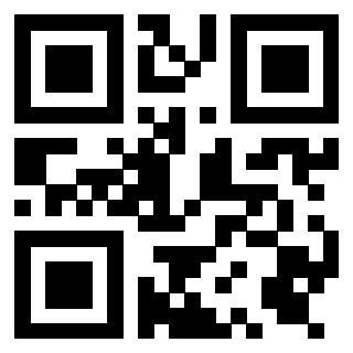 Il Qr Code di 3919376718