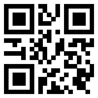 Il Qr Code di 3919376736
