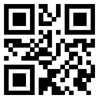 QrCode di 3919376771