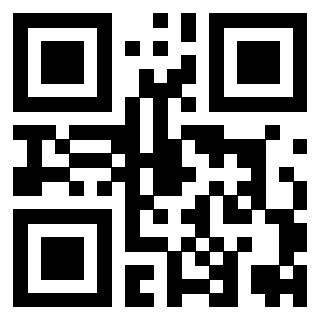 Il Qr Code di 3919376776
